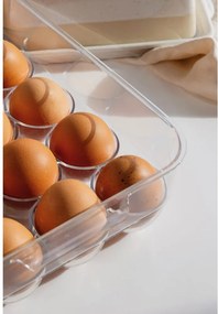 Műanyag tojástartó hűtőbe 23x17,5 cm – Casa De Engel