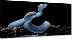 Vászonkép 115x55 Kék kígyó vipera
