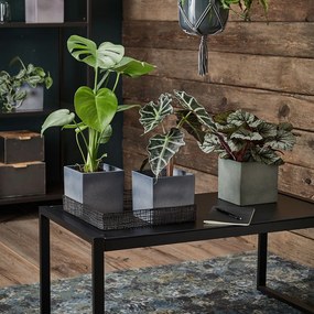 Latina lila kerámia virágcserép, 15 x 15 cm - Big pots