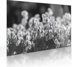 Üveg kép - Nyári rét (70x50 cm)