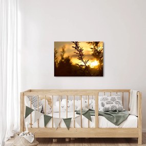 Kép - A nap lenyugszik a fák mögött (70x50 cm)