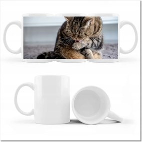 Nyomott mintás bögre Cica