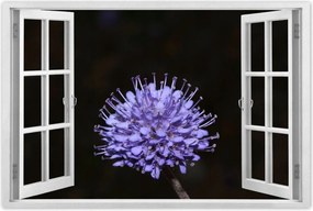 Poszterek 90x60 Nőnap Ajándék Love