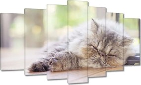 Képek 140x80 Cica Cicák