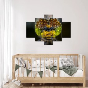 Részletes kép a rovar szemről (150x105 cm)