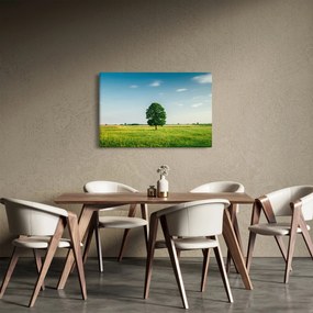 Egy fa képe egy rét közepén (90x60 cm)
