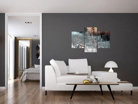 Kép - Fagyott rét (90x60 cm)