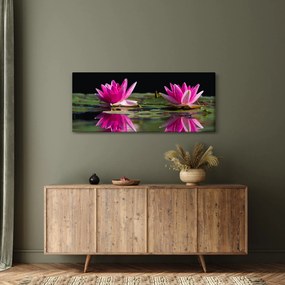 A tavirózsa képe a vízen (120x50 cm)