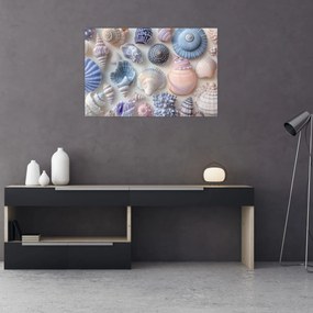 Kép - Kagylógyűjtemény (90x60 cm)