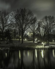 Poszter 40x50cm Central Park éjszaka 2, Assaf Frank