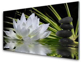 Fali üvegkép Tavirózsa Flowers 100x50 cm