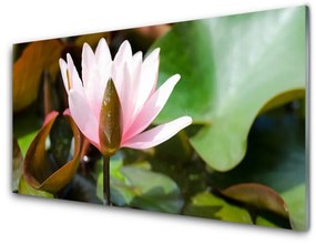 Üvegkép Természet virág növény 100x50 cm