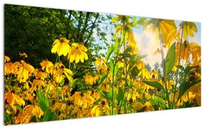 Sárga virágok képe (120x50 cm)