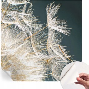 Öntapadós tapéta Fali furnér 3D Pitypang könnyedség 250x250 cm