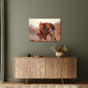 Üveg kép - Nagy afrikai elefánt (70x50 cm)