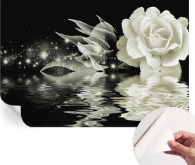 Öntapadós Dekoratív Fotótapéta Hálószobába Fényes rózsa 104x70 cm