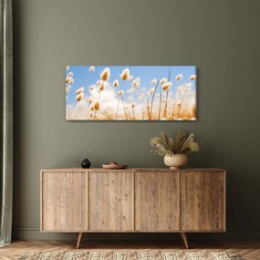 Kép - Arany mező (120x50 cm)