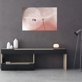 Kép - Egy csepp harmat (90x60 cm)