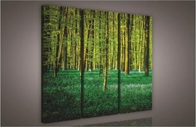 Erdő, 3 darabos vászonkép, 90x80 cm méretben