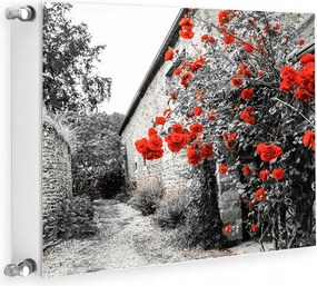 Mágneses Radiátorvédő 60x60 Virágok Fotótapéta