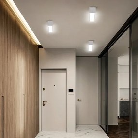 Immax NEO 07257L - LUNGO 20W/230V Wi-Fi LED dimmelhető lámpa, fehér + DO