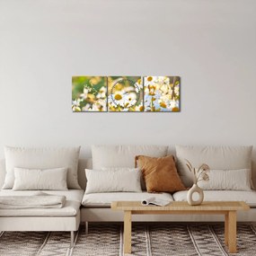 Kép - Százszorszépek (órával) (90x30 cm)