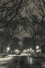 Poszter 20x30cm Éjszakai kilátás a Central Parkon át vezető útra, Assaf Frank