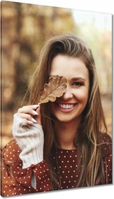 Vászonkép 80x120 Őszi levelek Ősz