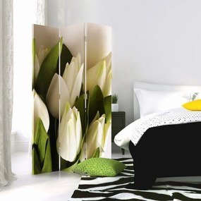 Gario Paraván Friss fehér tulipánok Méret: 110 x 170 cm, Kivitelezés: Klasszikus paraván