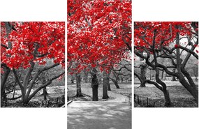Kép - vörös fák,Central Park, New York (90x60 cm)