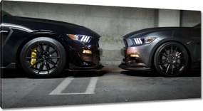 Képek 115x55 Ford Mustang made in Usa