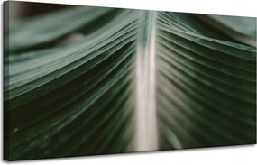Vászonkép Természet Pálmalevél 120x60