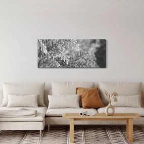 Kép - Lucfenyő erdő (120x50 cm)