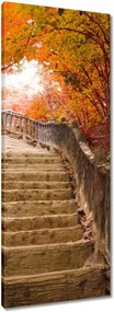 Vászonkép 40x100 Őszi séta Lépcsők