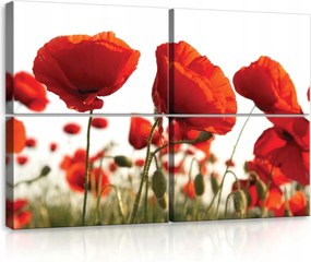 Vászonkép 120x80 Pipacsok piros nyár nap természet virágok mező fali dekoráció