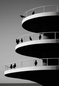 Poszter 68x98cm Holló árnyalatok