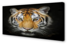 Canvas képek Tigris 100x50 cm