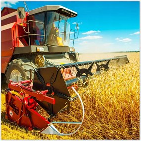 Poszterek 100x100 Kombájn gabona kaszálás