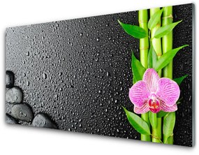 Fali üvegkép Bamboo Stem Flower Plant 100x50 cm 4 fogas