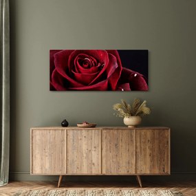 Kép - Vörös rózsa (120x50 cm)