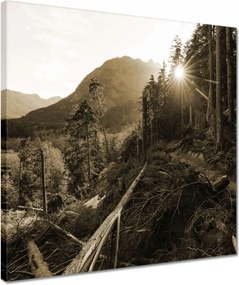 Vászonkép 40x40 Szépia tájkép Szépia