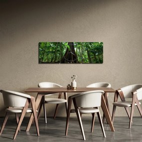 Kép - A fa gyökerei (órával) (90x30 cm)