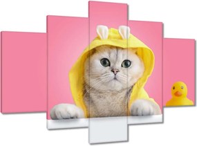 Képek 150x105 Kedves cica Vicces macska