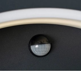 Brilagi - ARCELO LED kültéri fali lámpa szenzorral LED/8W/230V IP54