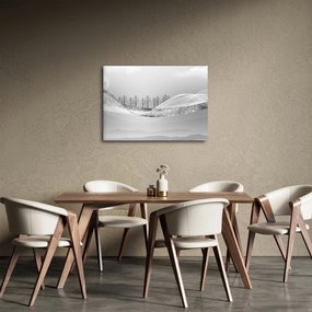 Kép - ezüst táj (70x50 cm)