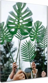 Vászonkép 80x120 Mosnter levelei lyukas