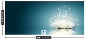 Fotótapéta lótusz virág 104x70 cm