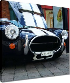 Vászonképek 40x40 Cobra 427