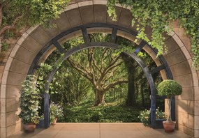 Fotótapéta Erdő Fák Szuper 3D Hatás ragasztó ingyen 208 x 146