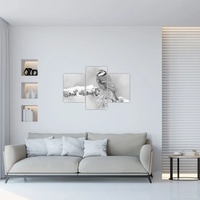 Kép - Egy madár egy ágon (90x60 cm)